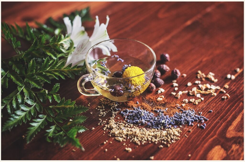Herbal tea and dried herbs representing natural plant compounds