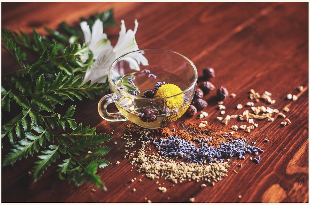 Herbal tea and dried herbs representing natural plant compounds