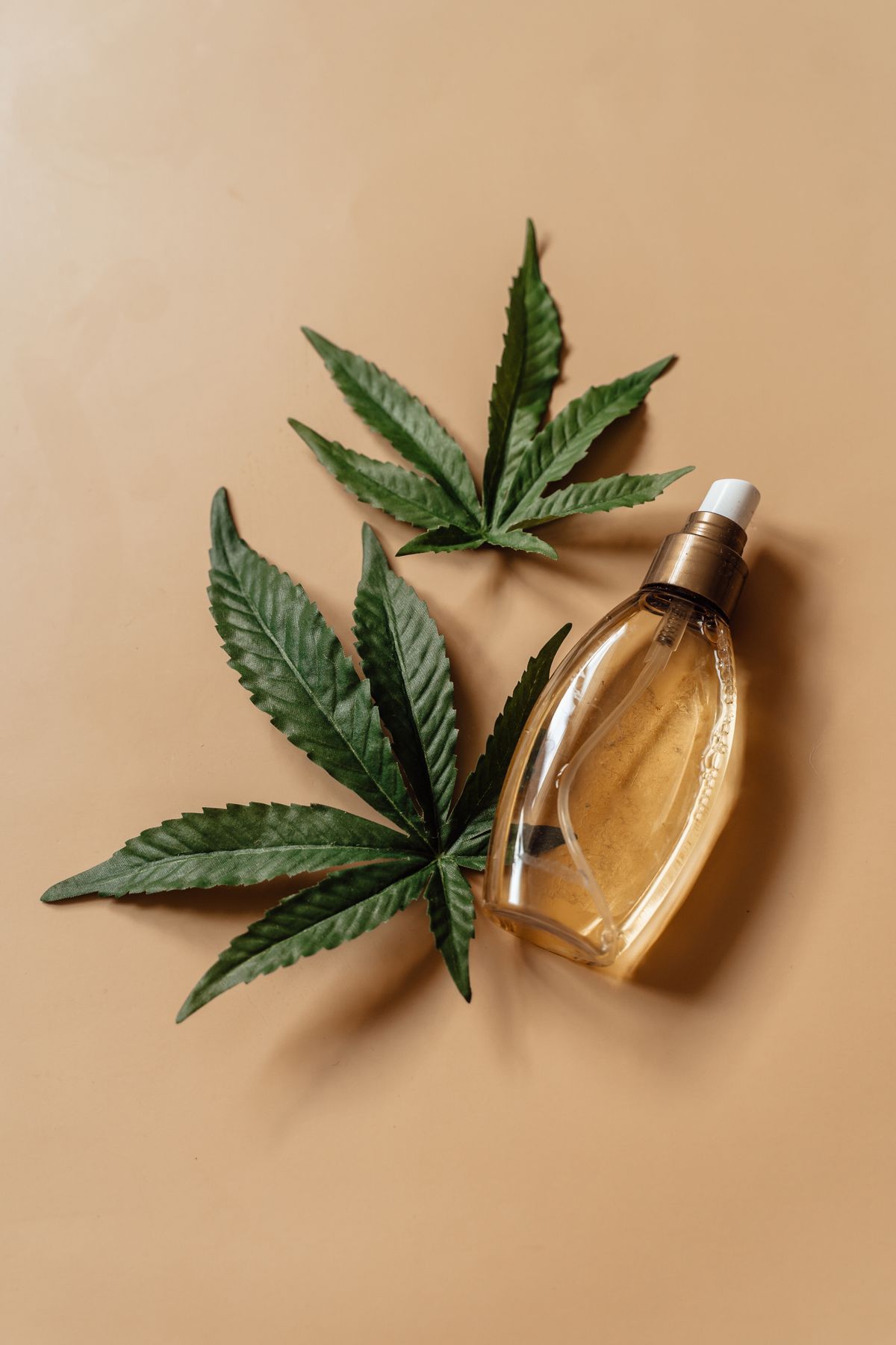 Bottle of CBD oil displayed with fresh hemp leaves on a neutral background
