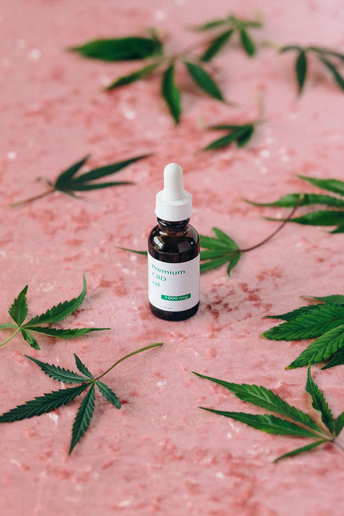 CBD oil dropper bottle surrounded by hemp leaves