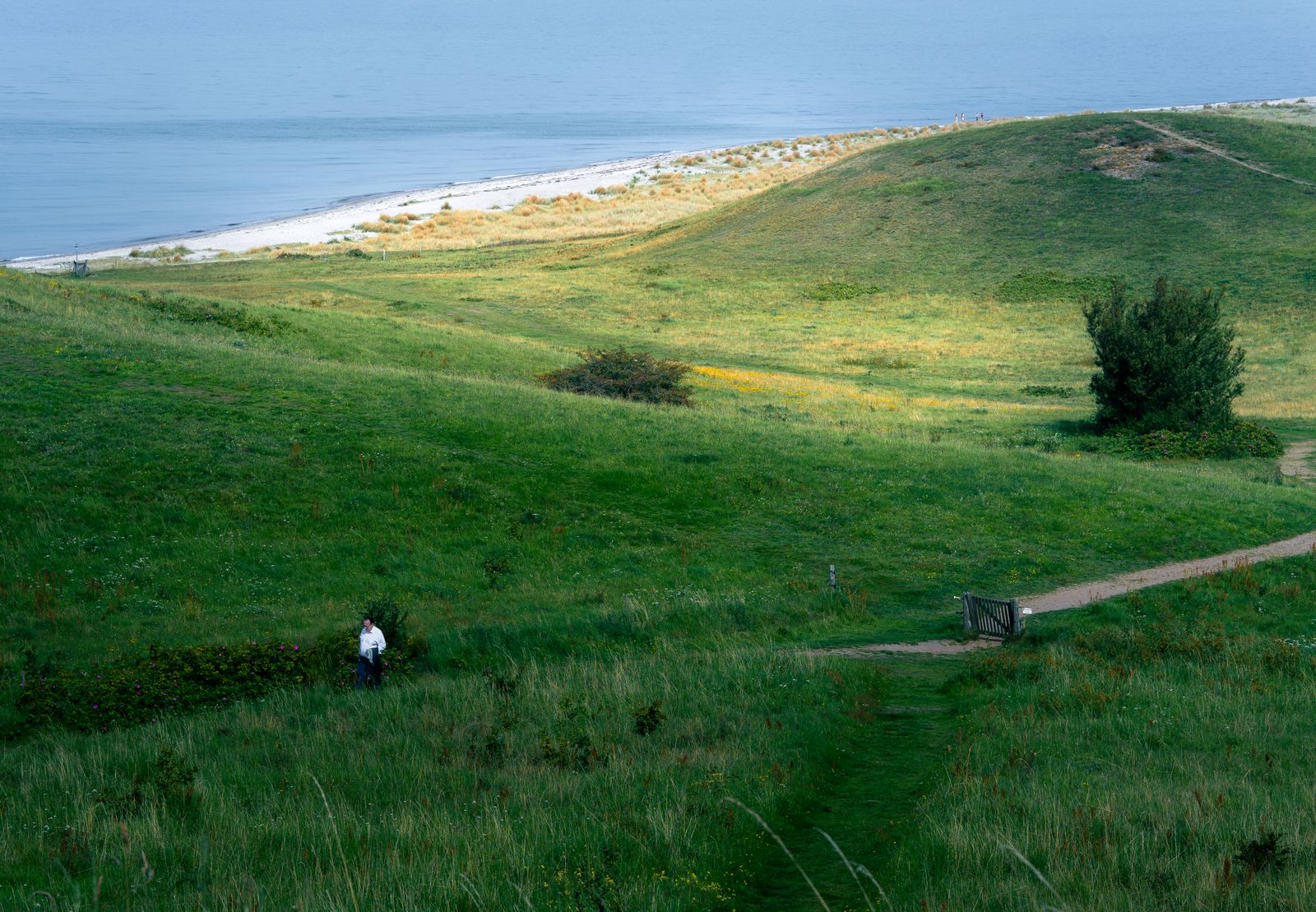 Green coastal hills along the Danish shoreline in Denmark