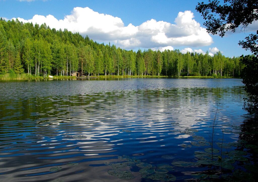 Peaceful lake surrounded by pine forest in Finland
